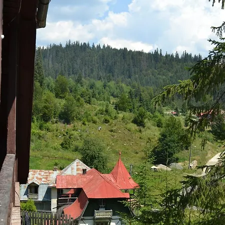 Vila Veverita 3* Борсек