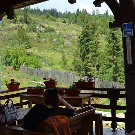 Vila Veverita 3* Борсек