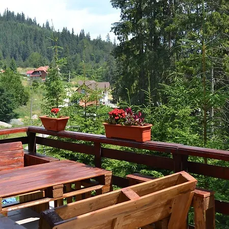 Vila Veverita 3* Борсек