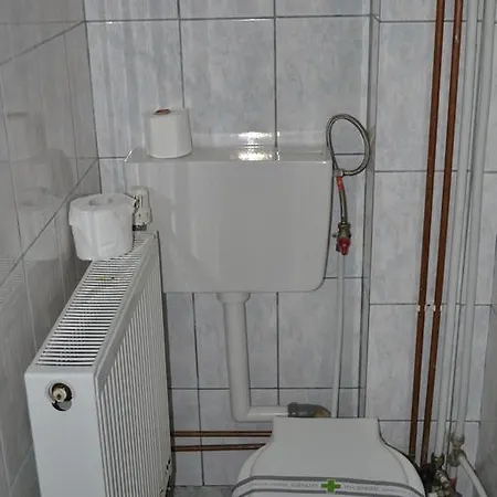 Vila Veverita Гостевой дом Борсек